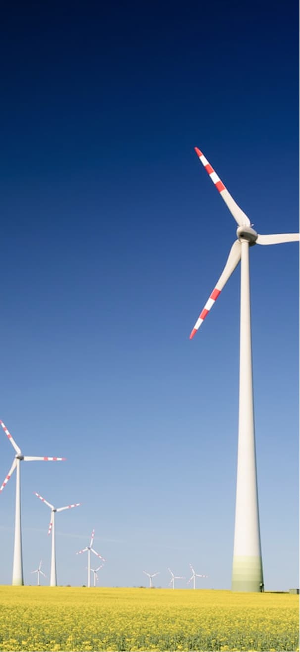 Energy Division